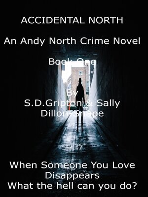 cover image of Accidental North